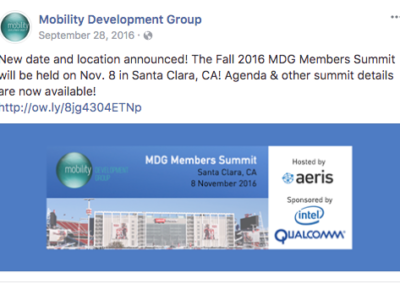 MDG Summit